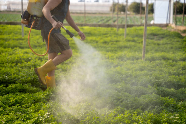 Best Mosquito Control Services  in Skyline Acres, OH