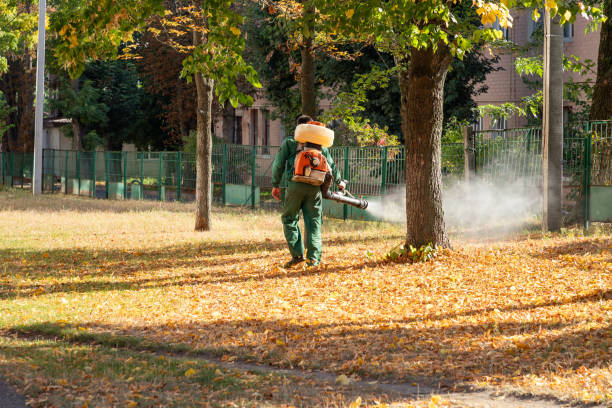 Best Termite Control Services  in Skyline Acres, OH